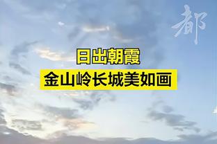 美媒预测东部球队进入季后赛概率：绿军100% 奇才&活塞&黄蜂0%